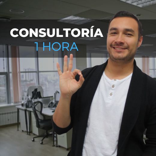 CONSULTORÍA 1 HORA